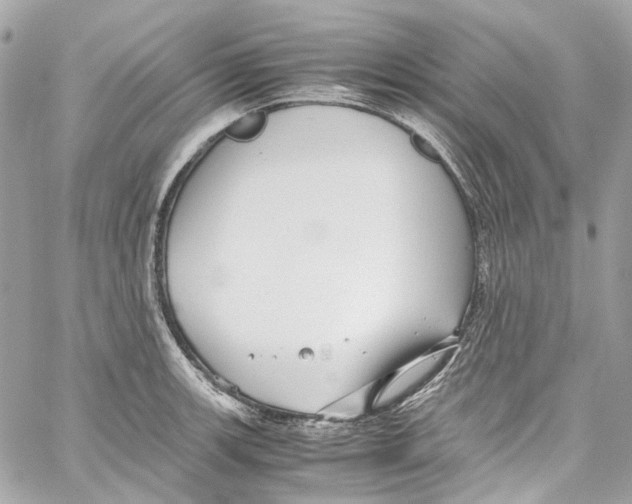 X0000059851139200511181532