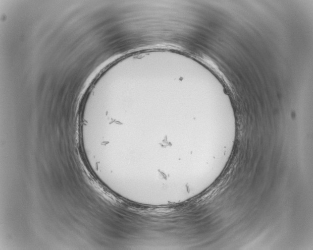 X0000059851140200511181532