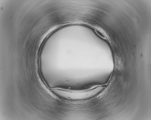 X0000059851142200511181532