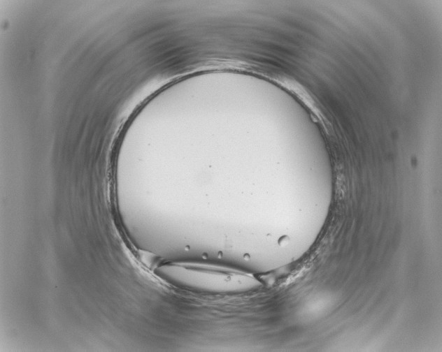 X0000059851143200511181532