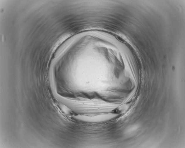 X0000059851145200511181532