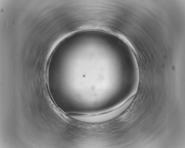 X0000059851148200511181532