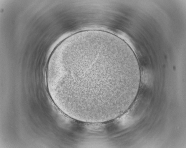 X0000059851150200511181532