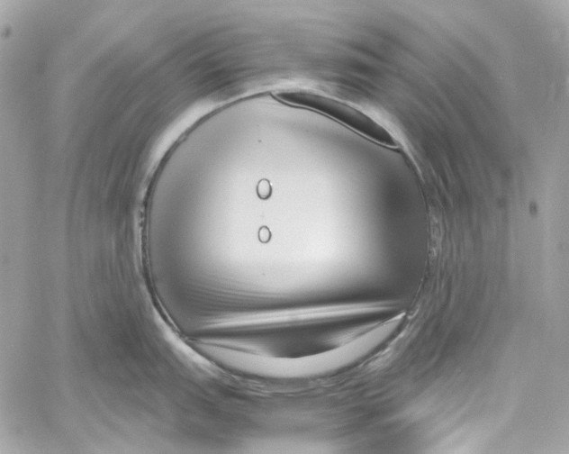 X0000059851151200511181532