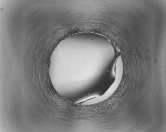 X0000059851153200511181531