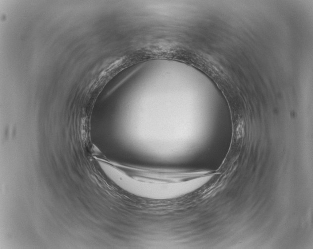 X0000059851156200511181531