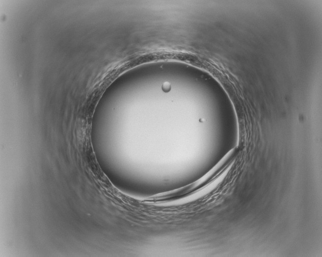 X0000059851157200511181531