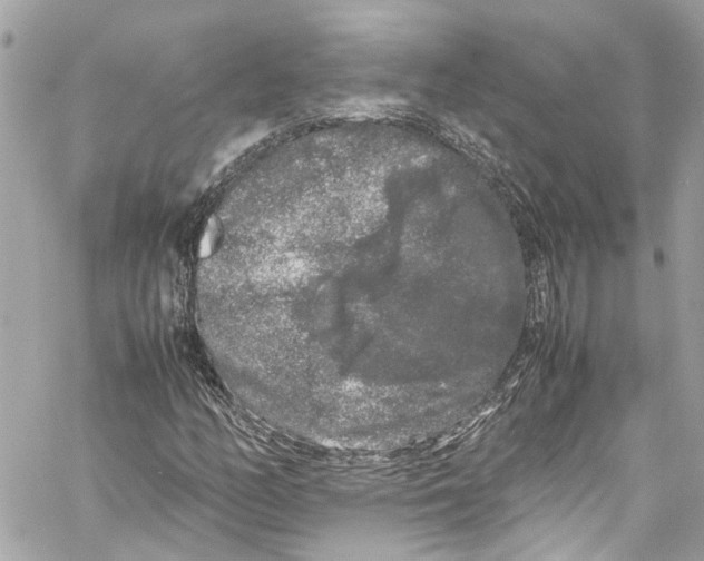 X0000059851158200511181531