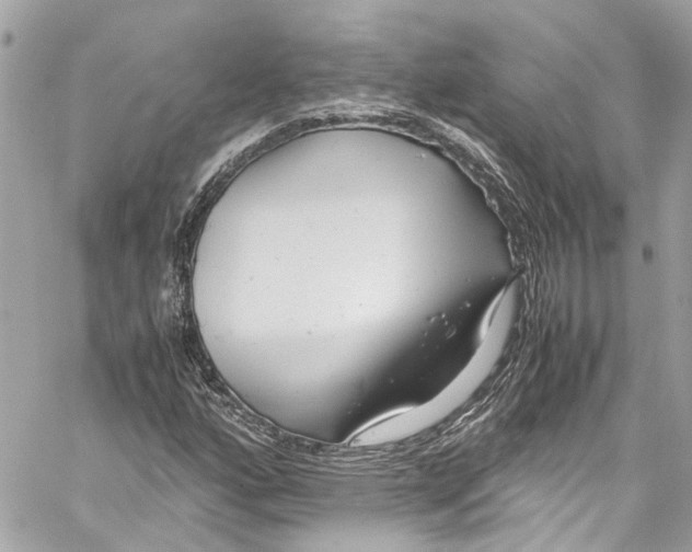 X0000059851160200511181531