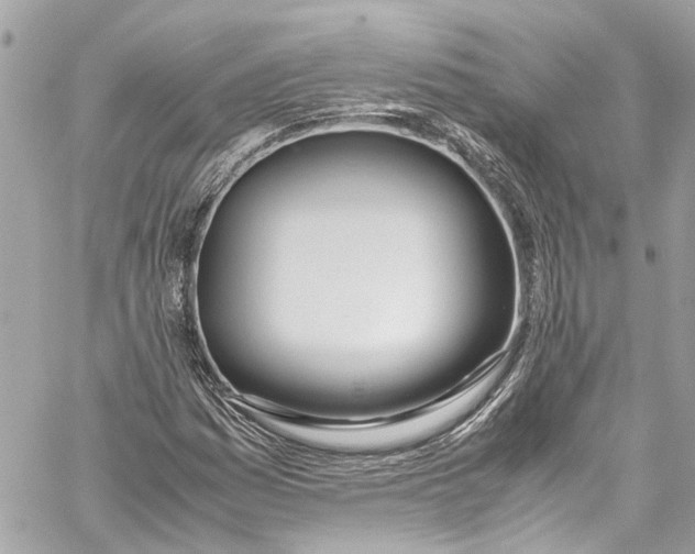 X0000059851161200511181531