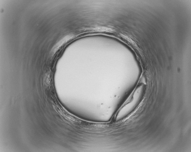 X0000059851163200511181531