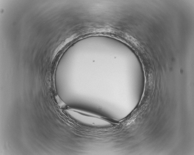 X0000059851165200511181531