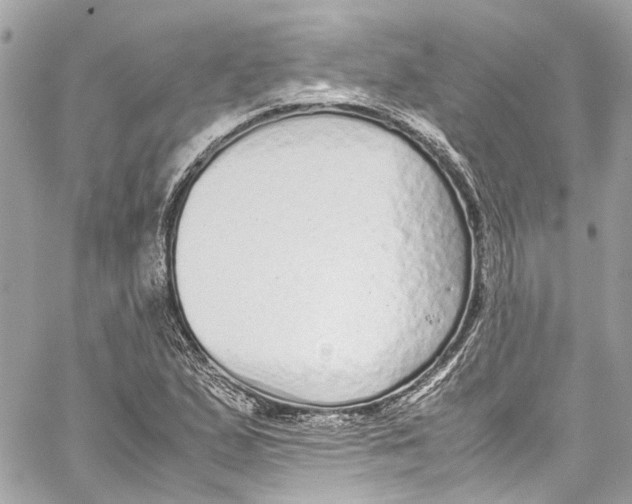 X0000059851167200511181531