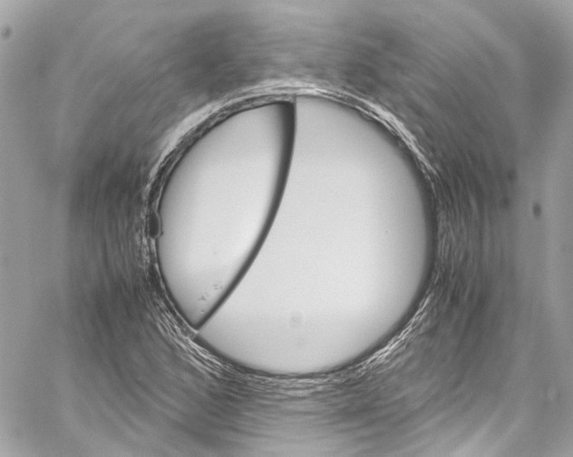 X0000059851168200511181531