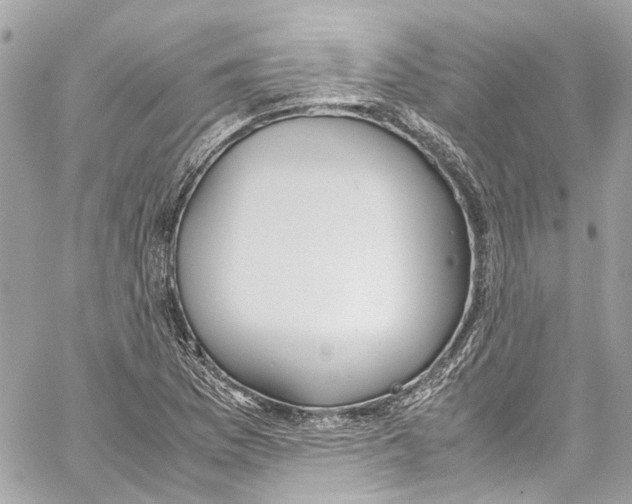 X0000059851169200511181531