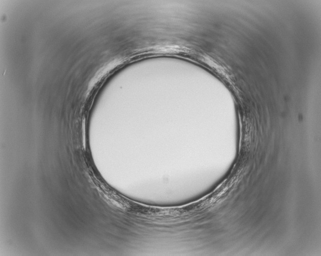 X0000059851171200511181531