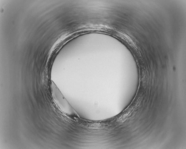 X0000059851172200511181531