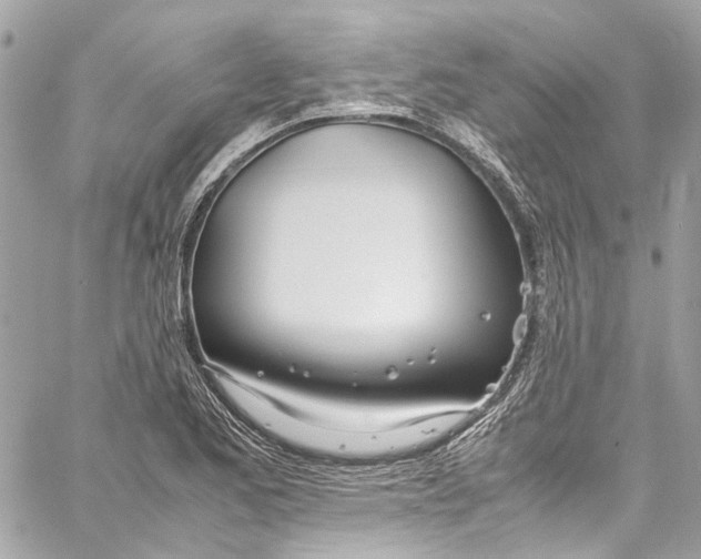 X0000059851173200511181531