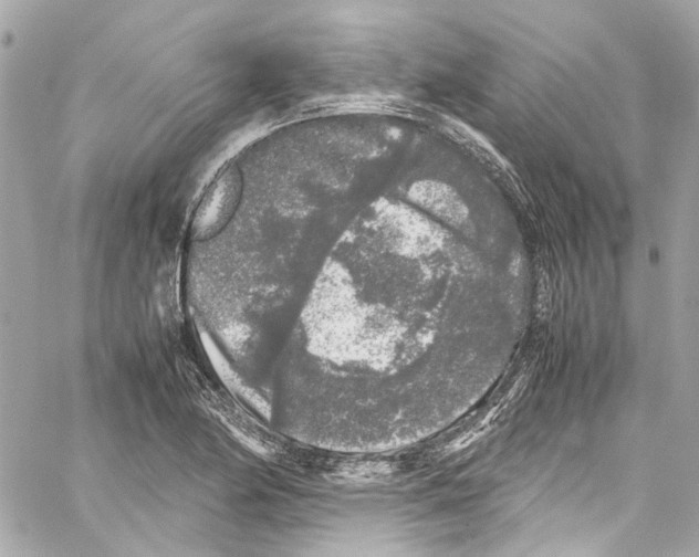 X0000059851174200511181531