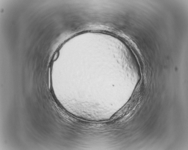 X0000059851175200511181531