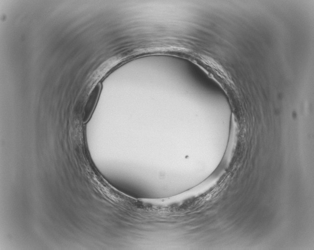 X0000059851177200511181531