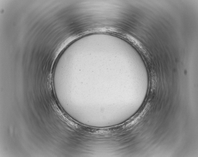 X0000059851178200511181531