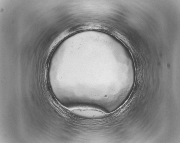 X0000059851179200511181531