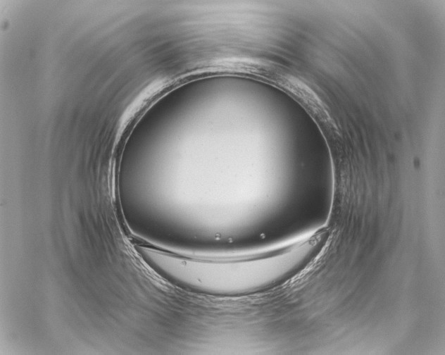 X0000059851180200511181531