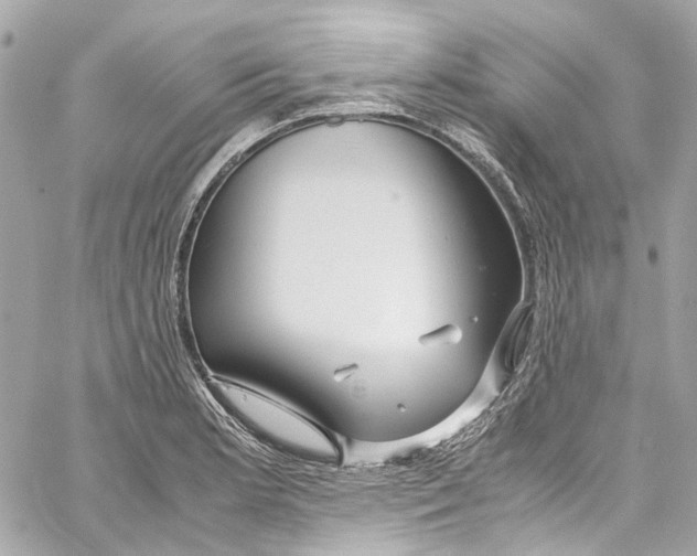 X0000059851181200511181531