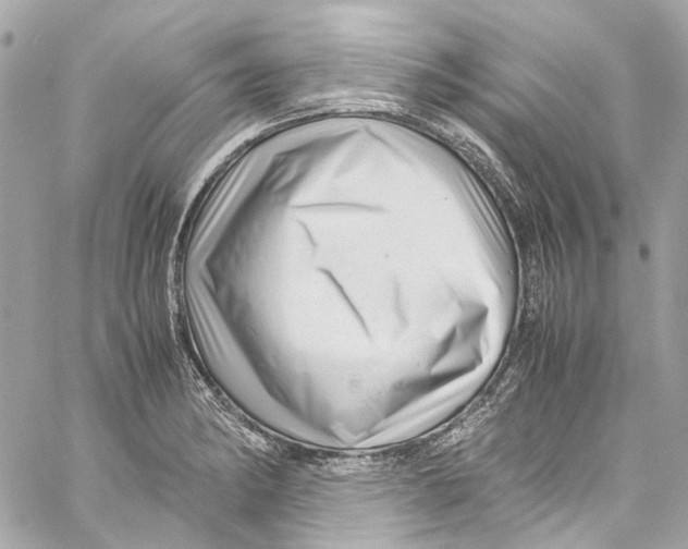 X0000059851182200511181531