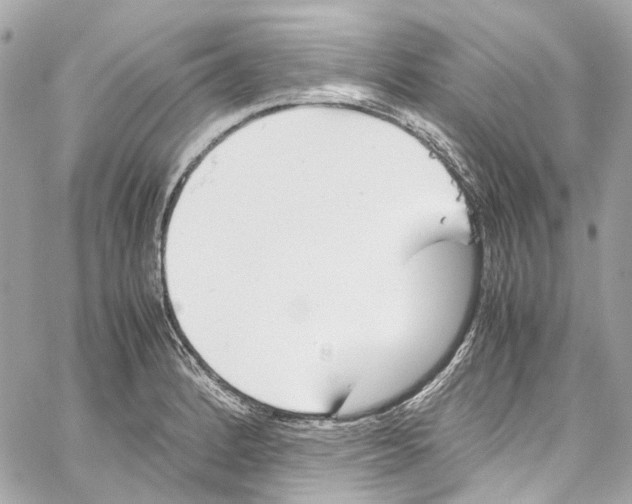 X0000059851184200511181531