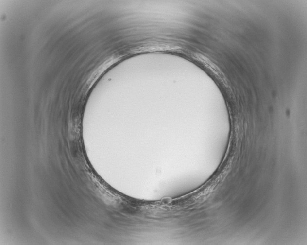 X0000059851185200511181531