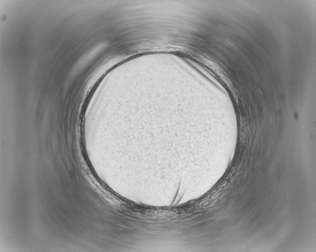 X0000059851187200511181531