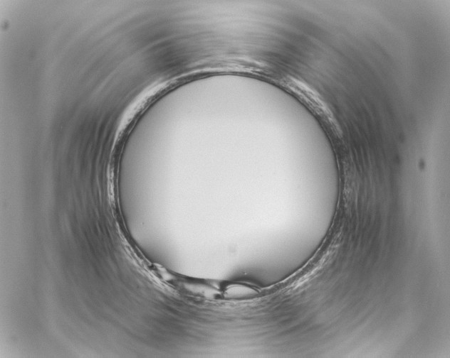 X0000059851188200511181531