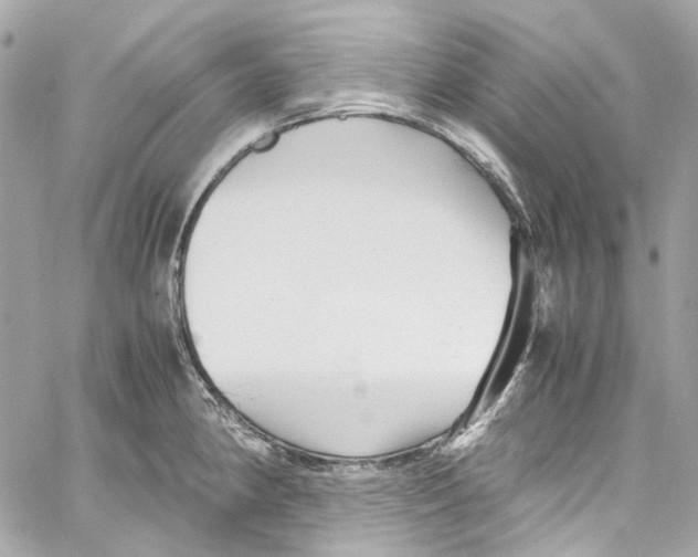 X0000059851190200511181530