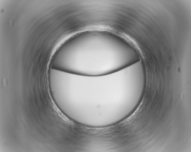 X0000059851192200511181530