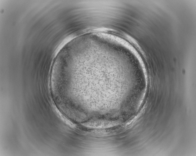 X0000059851194200511181530