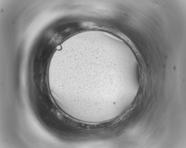 X0000059851199200511181530