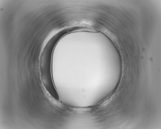 X0000059851200200511181530