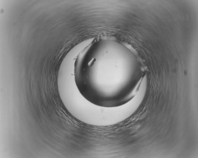 X0000059851202200511181529