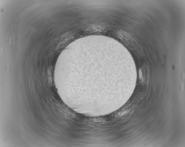 X0000059851203200511181529