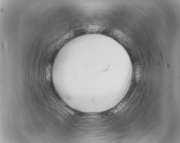 X0000059851204200511181529