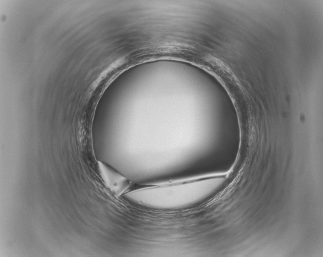 X0000059851210200511181530