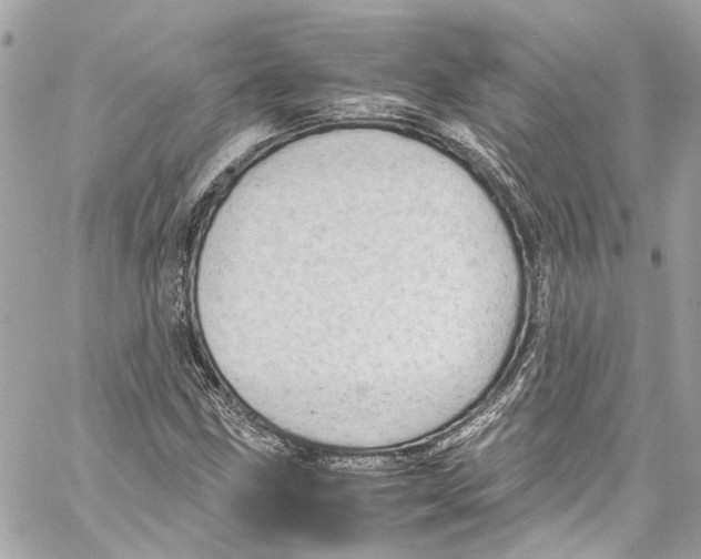 X0000059851211200511181530