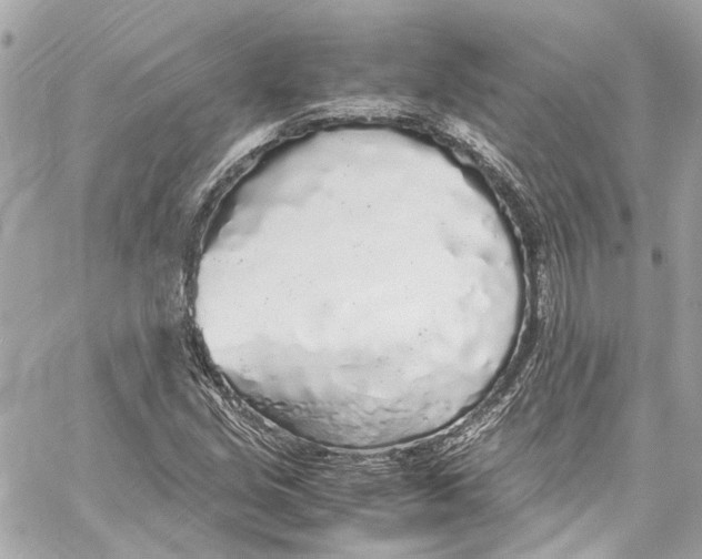 X0000059851213200511181530