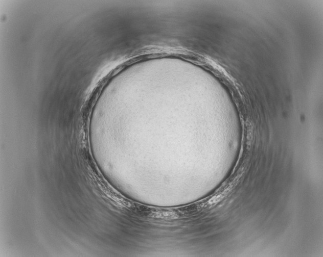 X0000059851215200511181530