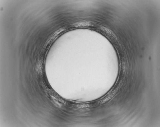 X0000059851217200511181530