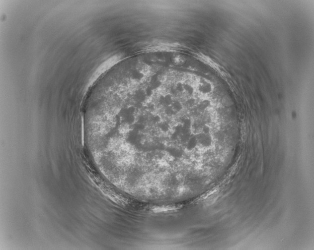 X0000059851219200511181530