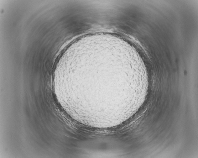 X0000059851220200511181530