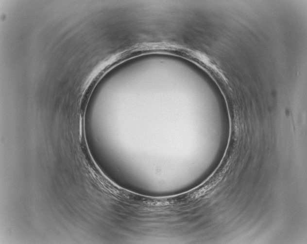 X0000059851221200511181530